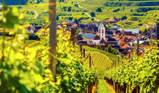 Deutsche Weinregionen