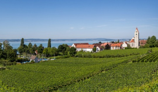 Bodensee - Die schönsten Wanderungen