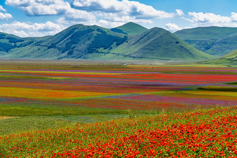 Castelluccio di Norcia